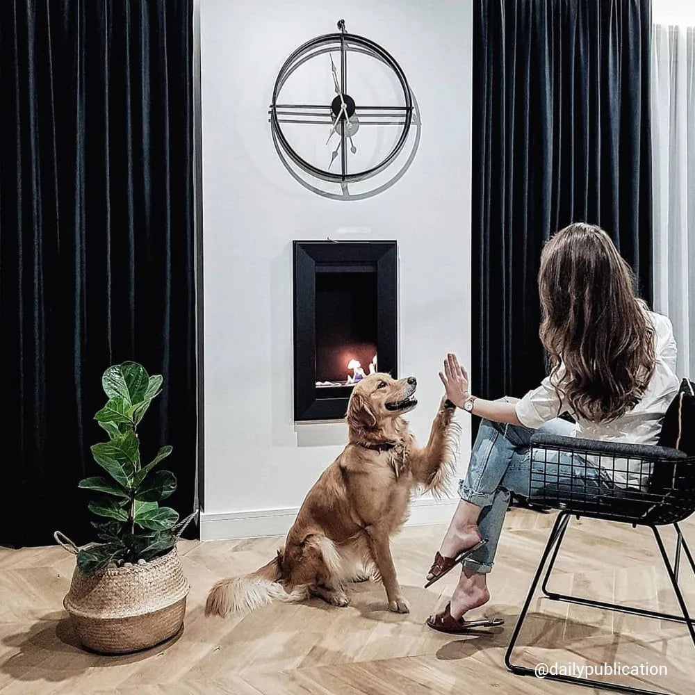 Vrouw en hond voor Kratki Charlie 2 TÜV haard, met plant en klok op de achtergrond.