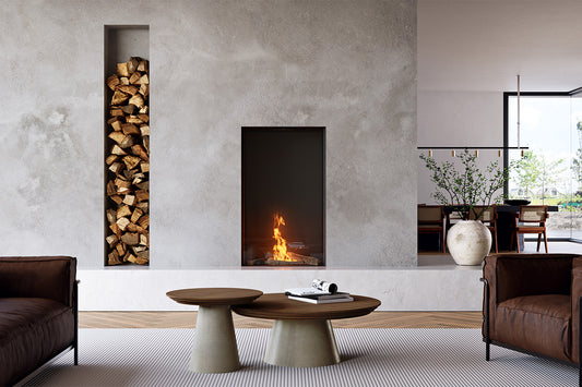 Element4 Sky Medium Front Bio in moderne woonkamer met ingebouwde haard en houtnis