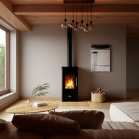 Verner 13/10.2 houtkachel in moderne woonkamer met brandend vuur