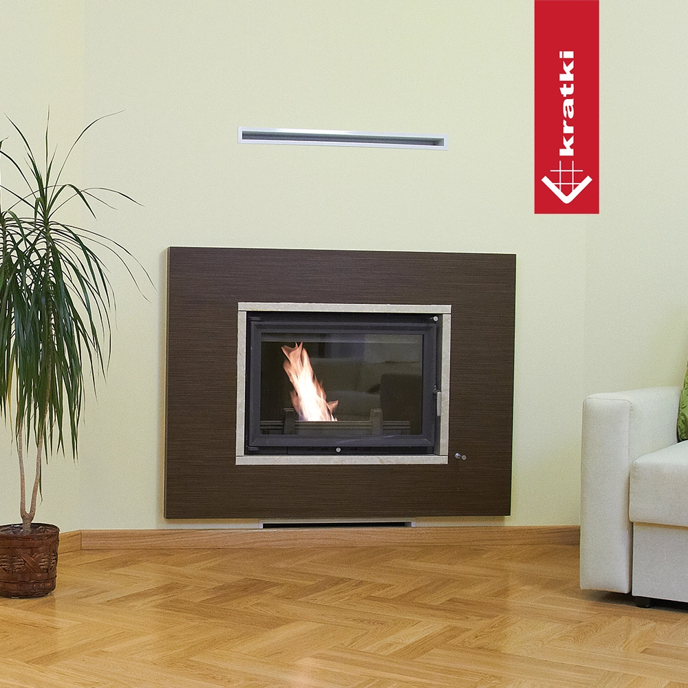 Kratki Wiktor in moderne woonkamer met ingebouwde haard en vlam
