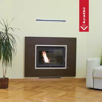 Kratki Wiktor in moderne woonkamer met ingebouwde haard en vlam