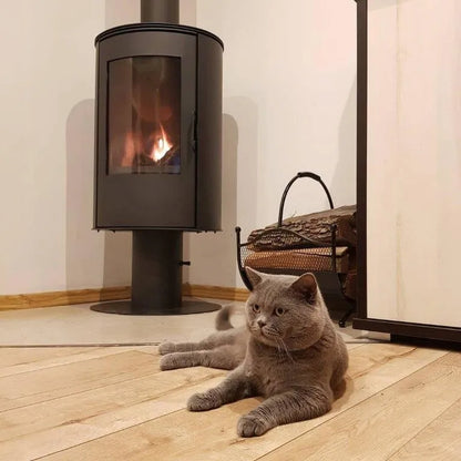 Grijze kat ligt op houten vloer voor Kratki AB DR houtkachel met brandend vuur.