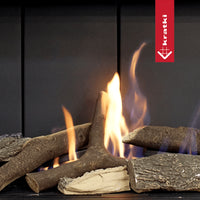 Kratki Leo 200 inbouwhaard met brandend hout en vlammen