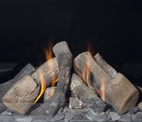 Element4 Sky Medium Front met houtlook branders en vlammen