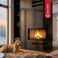 Kratki Lucy in moderne woonkamer met brandend vuur en hond op vloerkleed