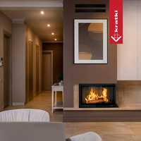 Kratki MBM in moderne woonkamer met ingebouwde haard en brandend vuur