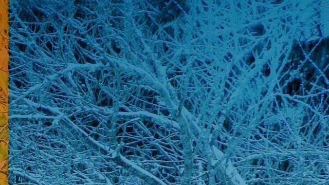 Blauw besneeuwde takken, DRU Maestro 60 Eco Wave niet zichtbaar