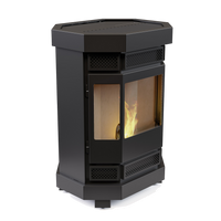 Duroflame Batavia T4.2 pelletkachel met zicht op vlammen