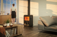Dovre Rock350 WB houtkachel in moderne woonkamer met vuurdeur en rookpijp
