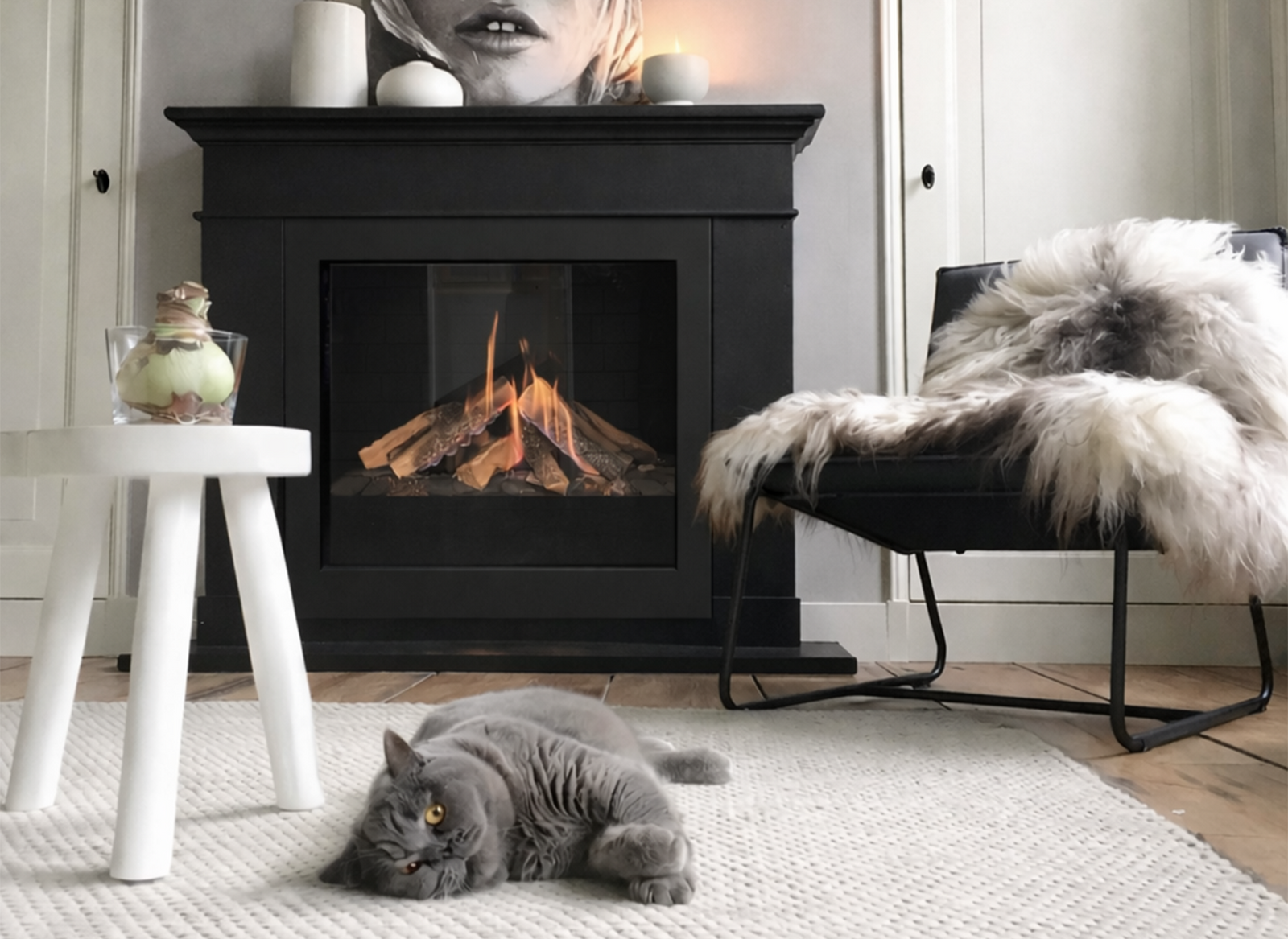 Element4 DSE 70 haard in woonkamer met kat en stoel