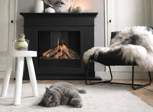 Element4 DSE 70 haard in woonkamer met kat en stoel