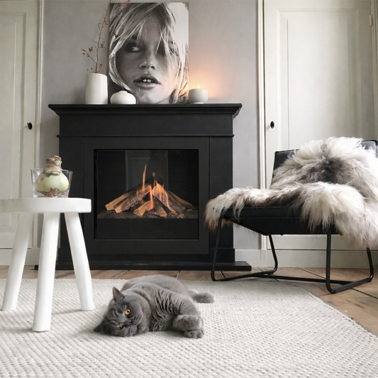 Element4 DSE 70 in zwarte haard in woonkamer met brandend vuur