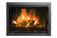 Spartherm Swing Inzet 51x45 met zichtbare vlammen achter glazen deur