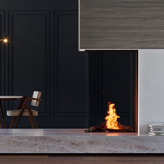 Element4 Sky Medium Roomdivider Bio haard in moderne woonkamer met vlammen