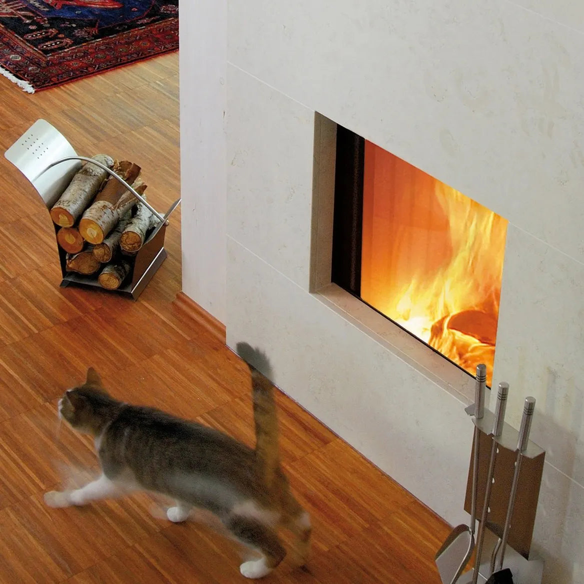 Spartherm Linear Tunnel 60x51 (vaste greep) ingebouwd in een muur met een kat op de vloer.